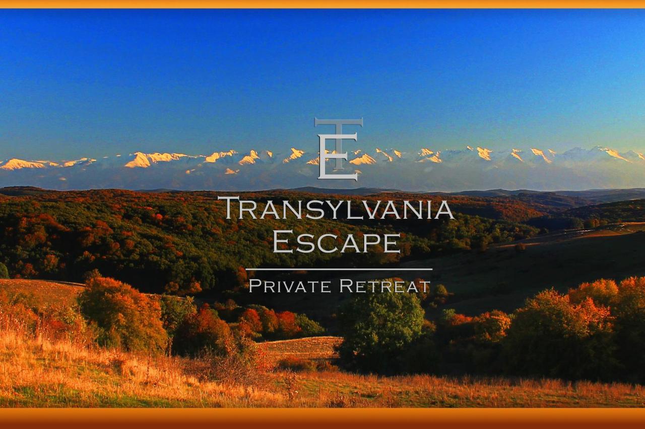 Apartamento Transylvania Escape Richisu Exterior foto