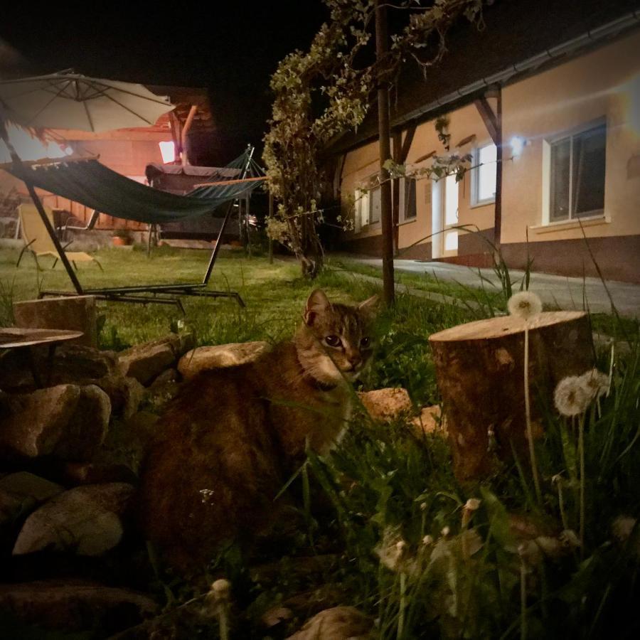 Apartamento Transylvania Escape Richisu Exterior foto